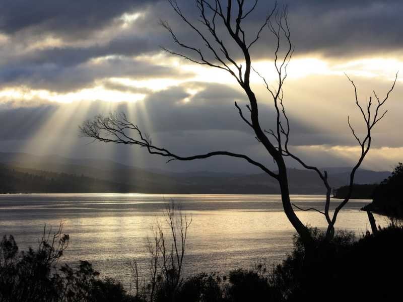 25 Charlotte Cove Road, Charlotte Cove TAS 7112