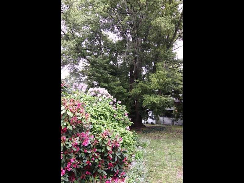 40 North Glen Road, Huonville TAS 7109