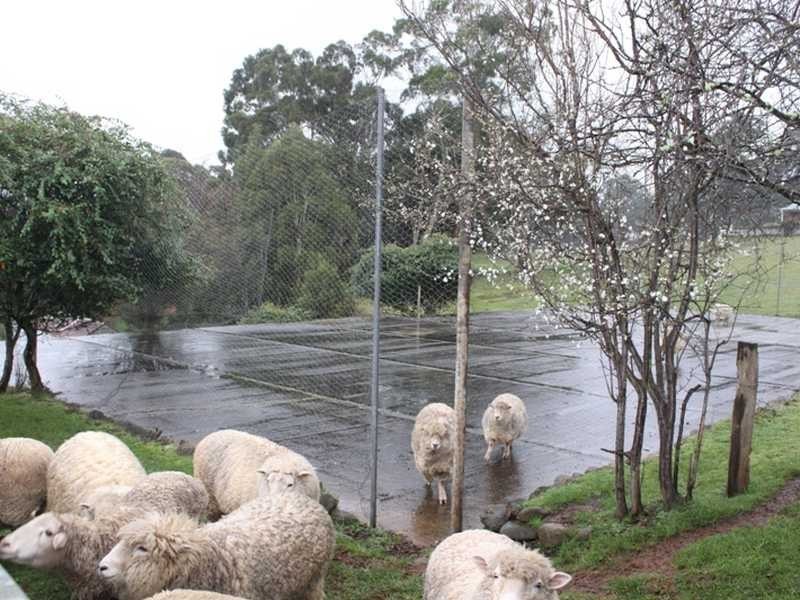 Unit/3/161 Main Road, Huonville TAS 7109