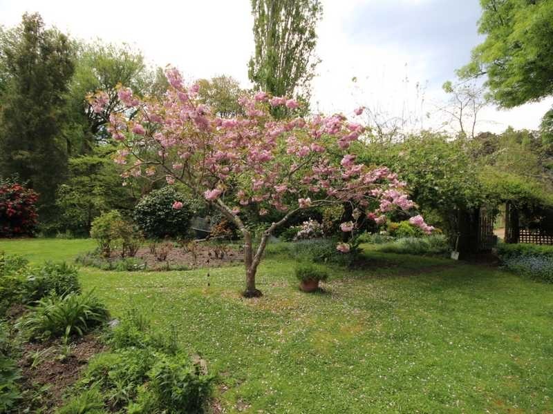 301 Golden Valley Road, Cygnet TAS 7112