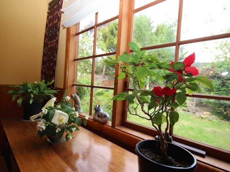 301 Golden Valley Road, Cygnet TAS 7112