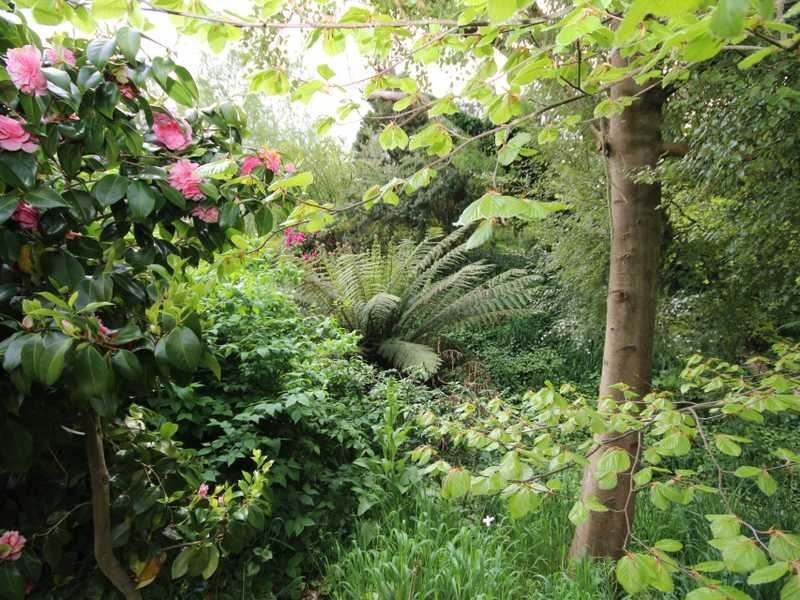 301 Golden Valley Road, Cygnet TAS 7112