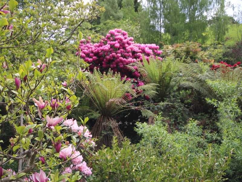 301 Golden Valley Road, Cygnet TAS 7112