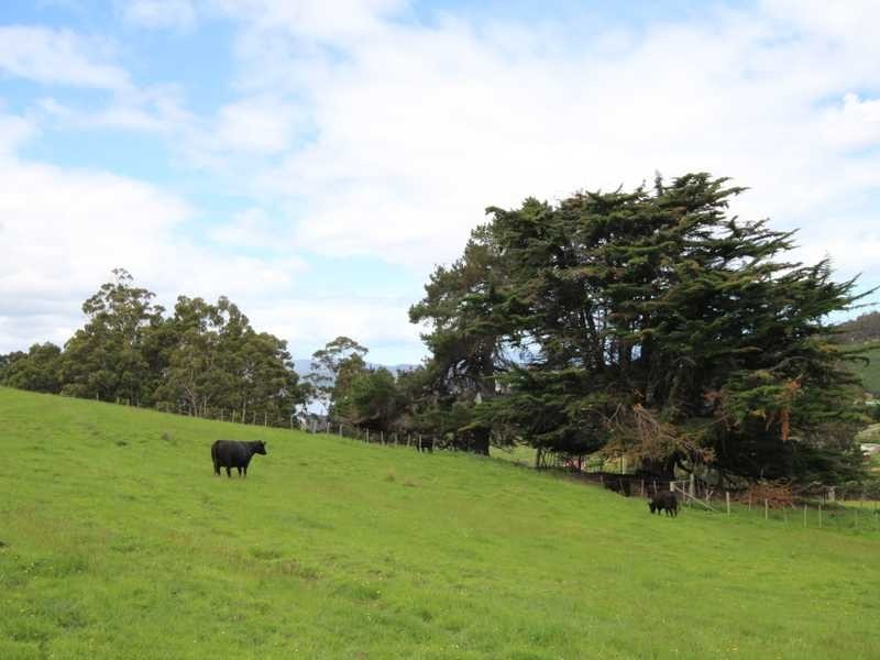 Haltons Road, Lymington TAS 7109