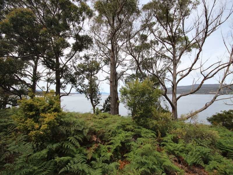Lot 4/268 Cygnet Coast Road, Petcheys Bay TAS 7109