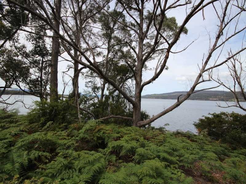 Lot 4/268 Cygnet Coast Road, Petcheys Bay TAS 7109
