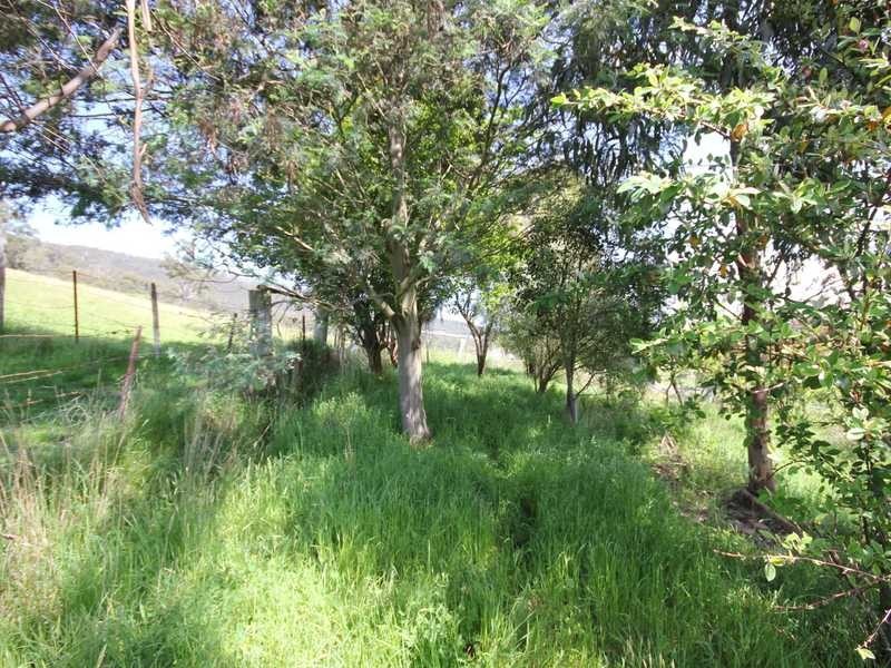 9024 Channel Highway, Huonville TAS 7109