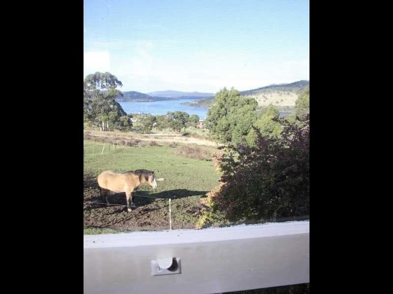 44 Dwyers Road, Port Huon TAS 7116