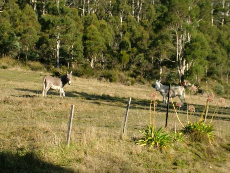 8 Gordons Road, Gardners Bay TAS 7112
