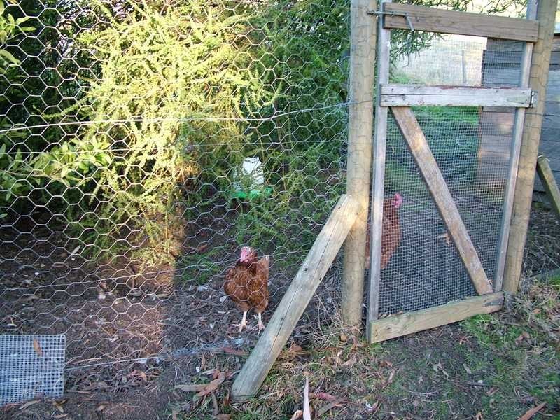 8 Gordons Road, Gardners Bay TAS 7112