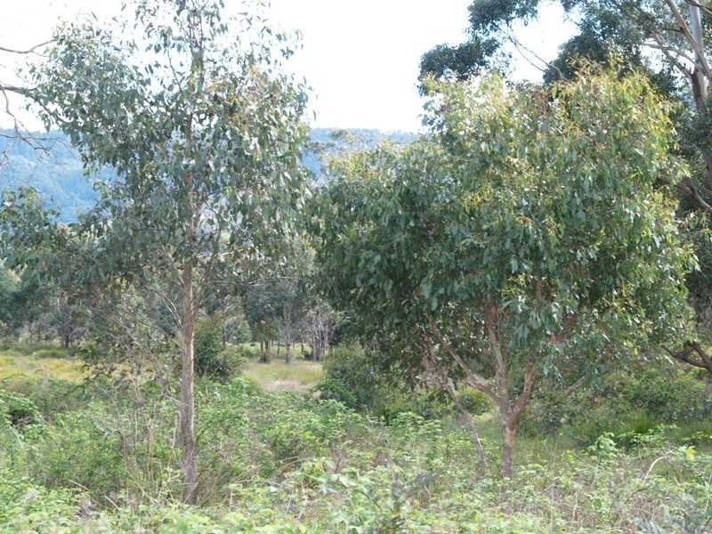 300 Glen Huon Road, Huonville TAS 7109