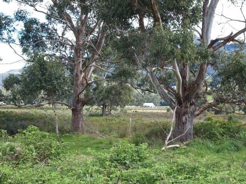 300 Glen Huon Road, Huonville TAS 7109