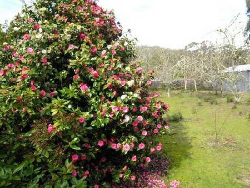 91 Lowes Road, Garden Island Creek TAS 7112