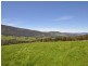 184/190 Scenic Hill Rd, Huonville TAS 7109