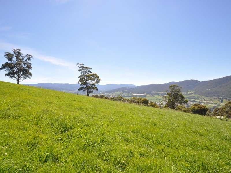184/190 Scenic Hill Rd, Huonville TAS 7109