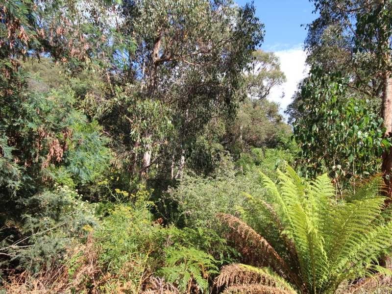 228 Cross Road, Gardners Bay TAS 7112