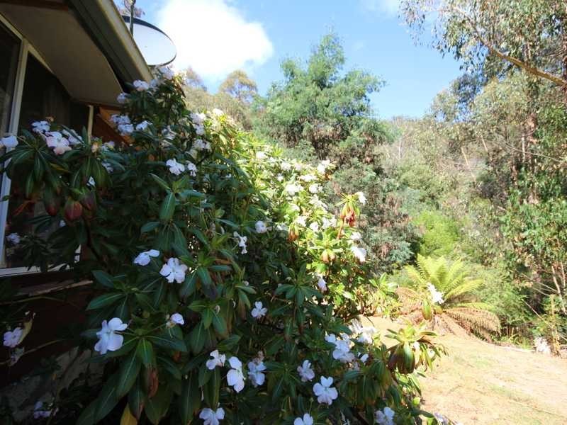 228 Cross Road, Gardners Bay TAS 7112
