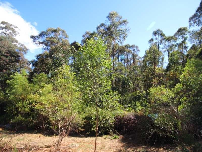 228 Cross Road, Gardners Bay TAS 7112