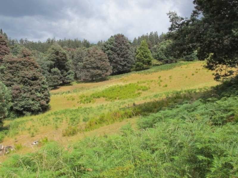 Lot 1 Swamp Rd, Franklin TAS 7113