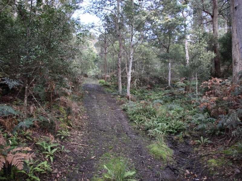 2 Lonnavale Road, Lonnavale TAS 7109