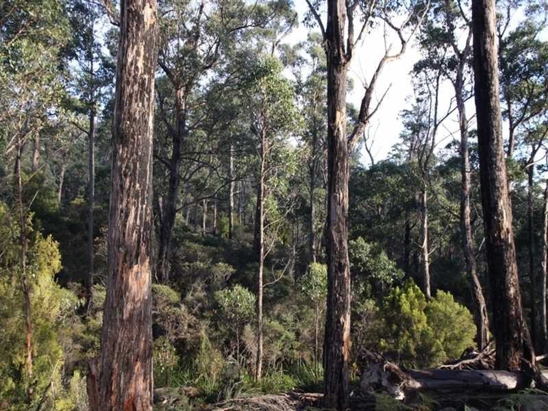 Lot 1 Denison Road, Lonnavale TAS 7109