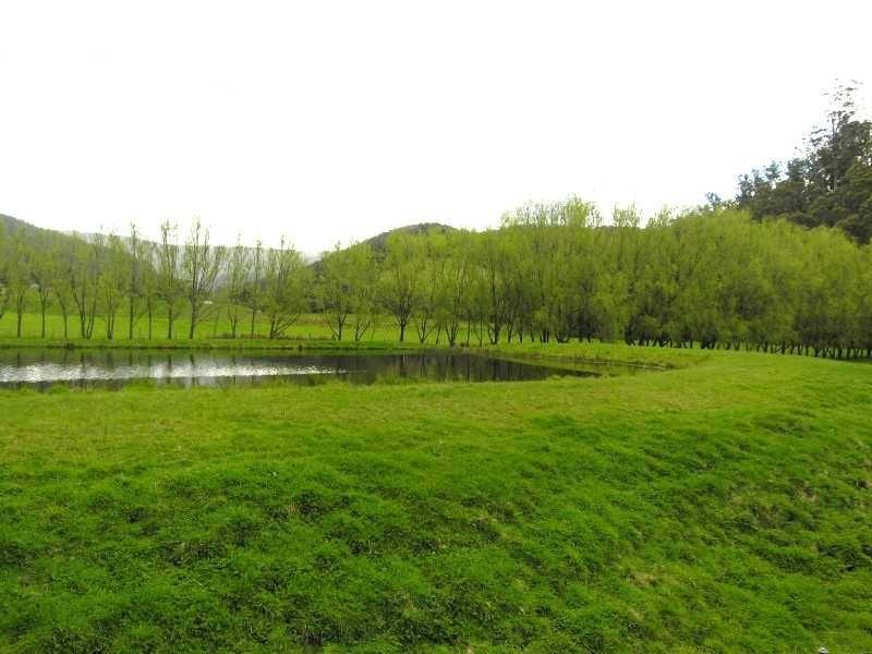 154 Bakers Creek Road, Lucaston TAS 7109