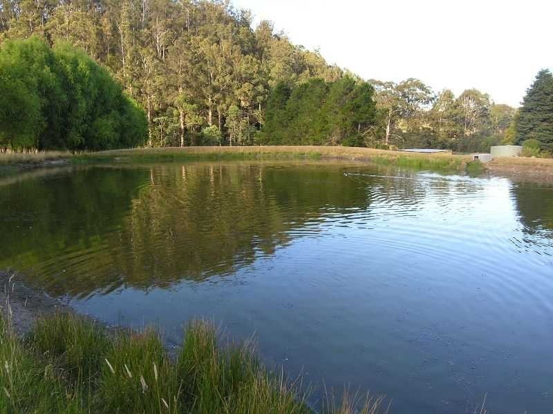 154 Bakers Creek Road, Lucaston TAS 7109