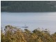 Lot 3 Cygnet Coast Road, Petcheys Bay TAS 7109