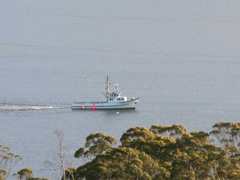 Lot 3 Cygnet Coast Road, Petcheys Bay TAS 7109