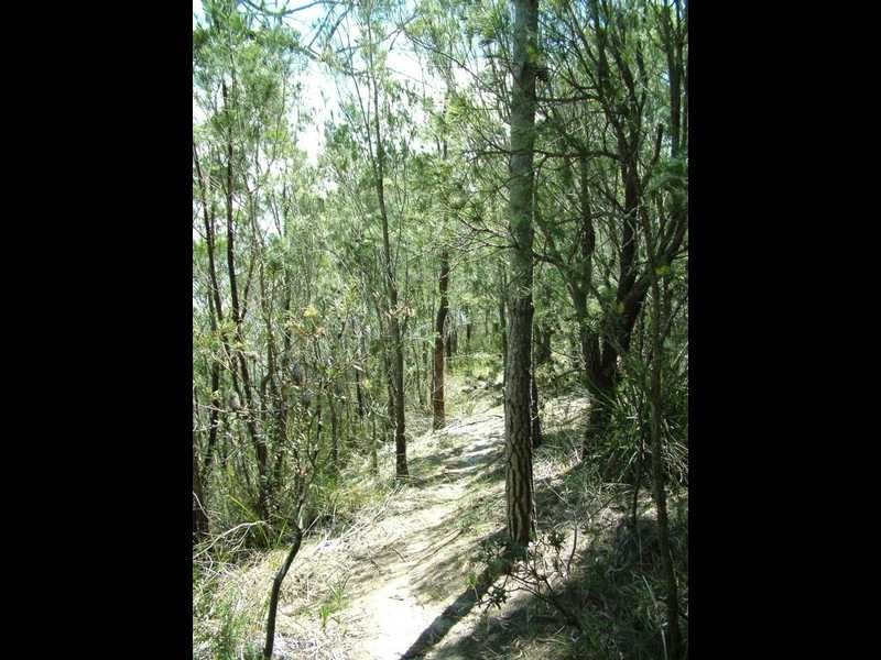 889a Cygnet Coast Road, Wattle Grove TAS 7109
