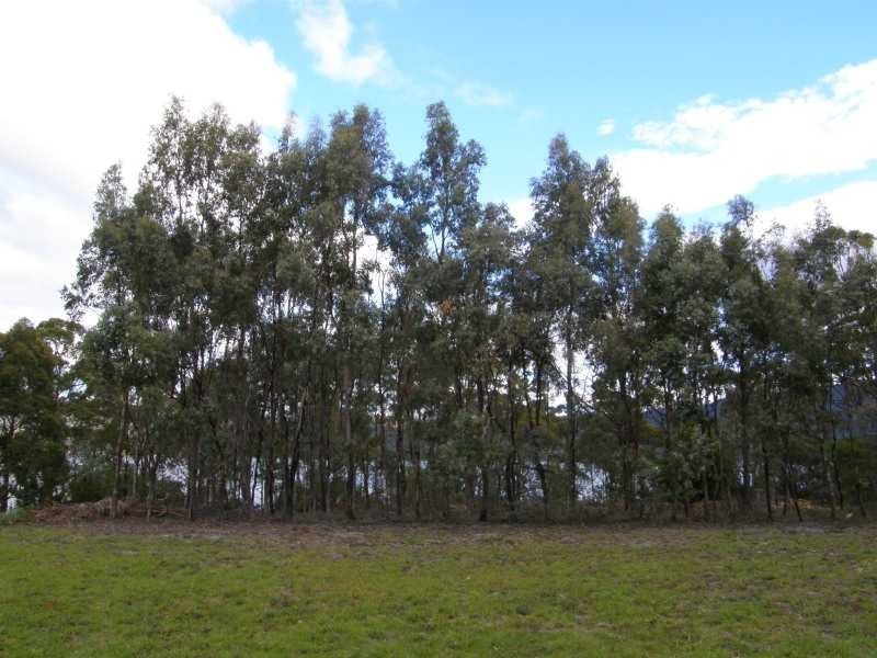 3/270 Cygnet Coast Road, Lymington TAS 7109