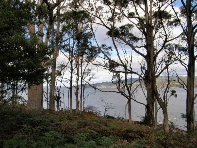 3/270 Cygnet Coast Road, Lymington TAS 7109