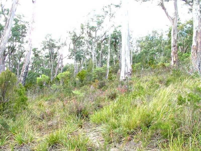 Lot 1 Cygnet Coast Road, Petcheys Bay TAS 7109