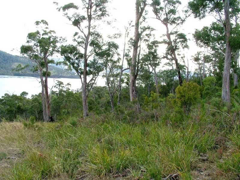 Lot 1 Cygnet Coast Road, Petcheys Bay TAS 7109