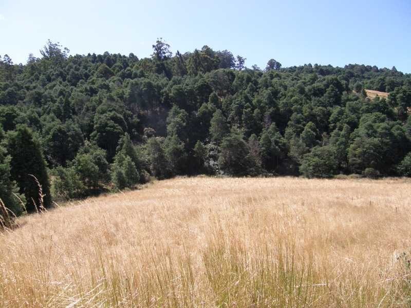 Gardners Bay TAS 7112