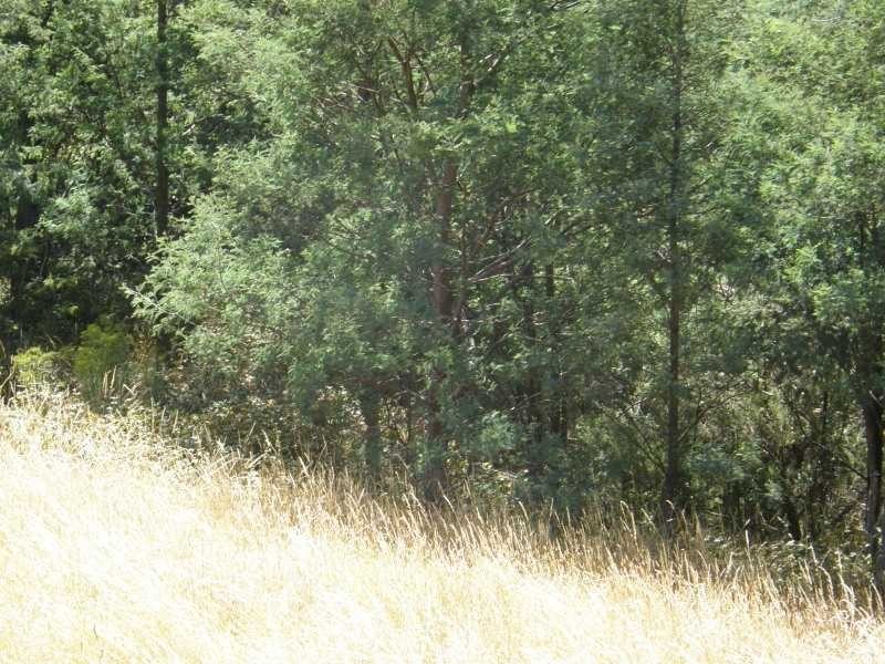 Gardners Bay TAS 7112