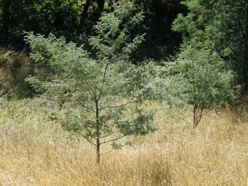 Gardners Bay TAS 7112