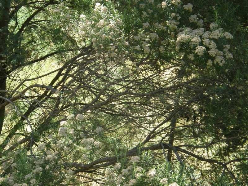 Gardners Bay TAS 7112