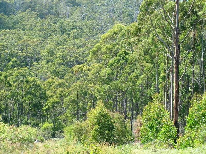 Petcheys Bay TAS 7109