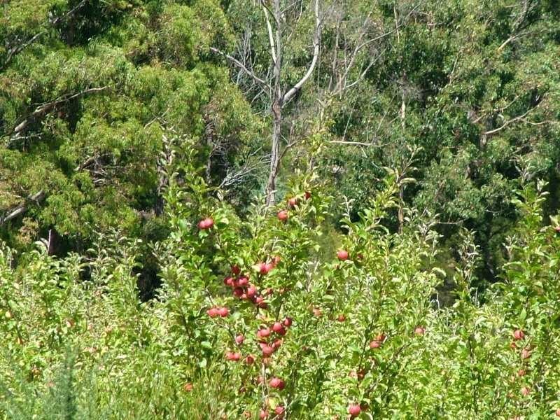 Petcheys Bay TAS 7109