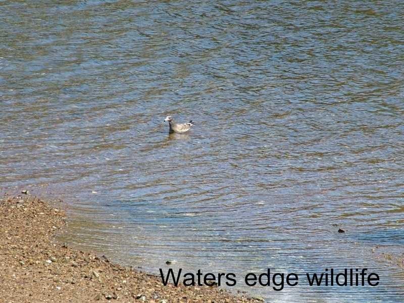 Petcheys Bay TAS 7109