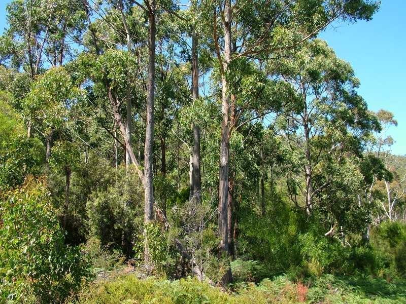 Petcheys Bay TAS 7109