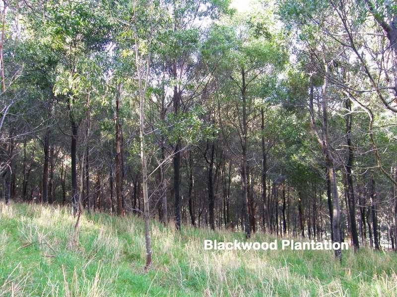 Petcheys Bay TAS 7109