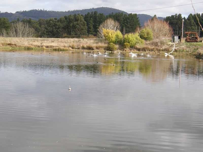 231 Lollara Road, Ranelagh TAS 7109