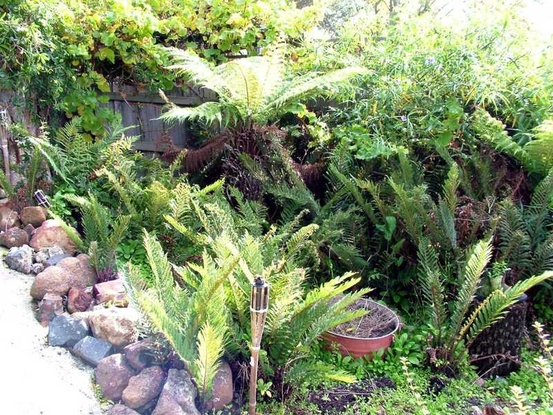 7 Lymington Road, Cygnet TAS 7112