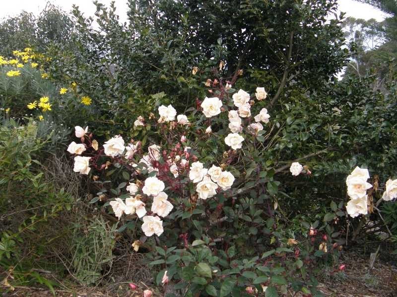 Gardners Bay TAS 7112