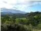 Glen Huon TAS 7109