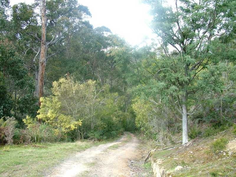 Glen Huon TAS 7109