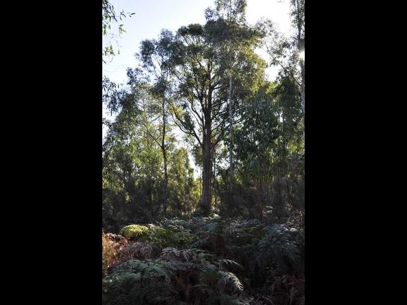 Garden Island Creek TAS 7112