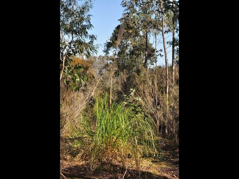 Garden Island Creek TAS 7112